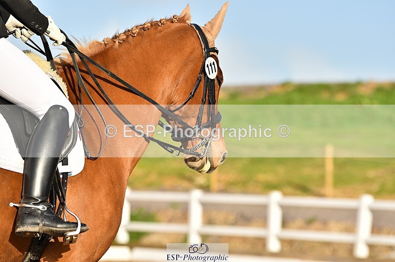 231104A-134306-01901 - Cls 10 Medium 61