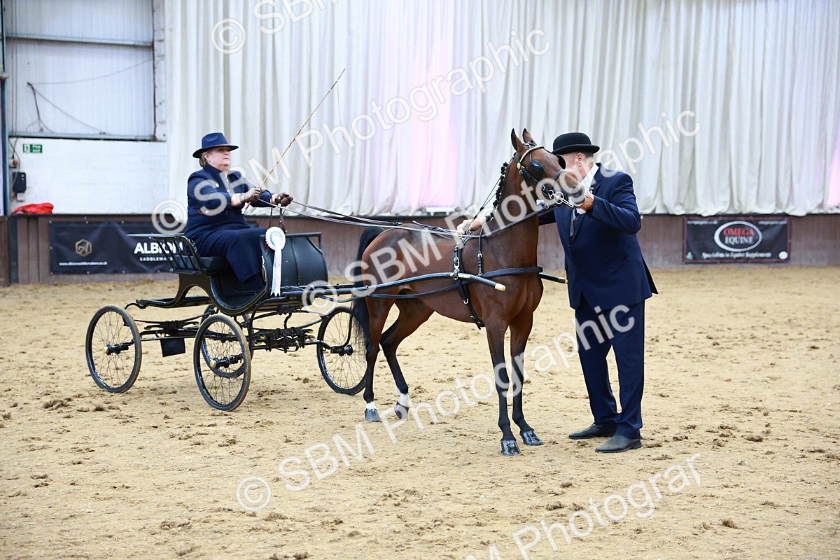 SBM_000698 - Class 9 - HHS Championship Intl Hackney Pony to a Showwagon