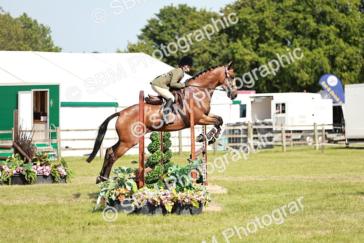 SBM_18839 - Class 114 - RIHS & SEIB Open Working Show Horse
