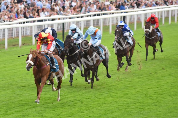 yr04092022r3-28 - Race 3 2.55pm The Elevator Company Garrowby Stakes