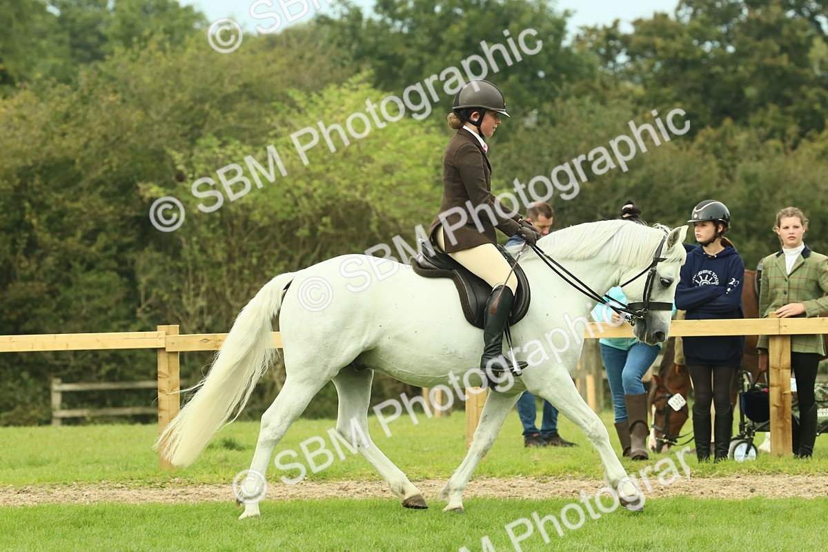 SBM_71872 - S60 - Mountain & Moorland Ridden Large Breeds