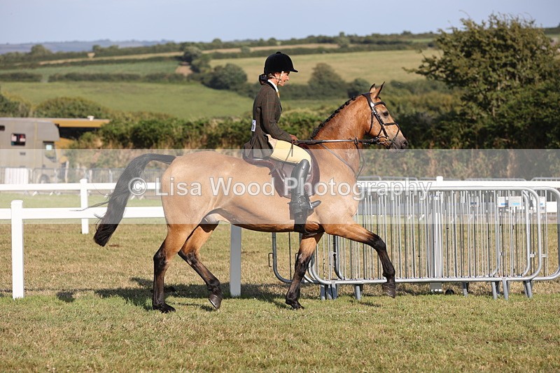 JPP_3281 - Class 21: Working Hunter 80cm
