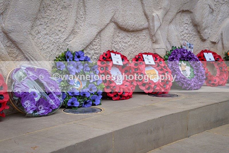NGP_8349 - 2024 Animals in War Remembrance Gathering