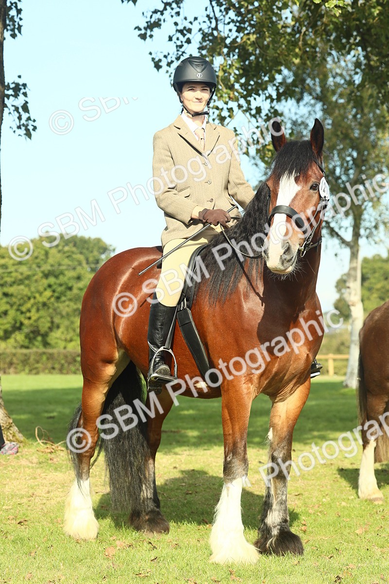 SBM_60013 - S38 - Starters Ridden Showing