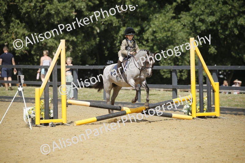 20250622-3840 - 50cm