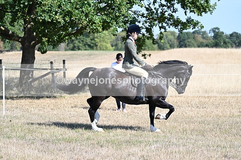 WJ7_3723 - Class 9 Mountain & Moorland Ridden