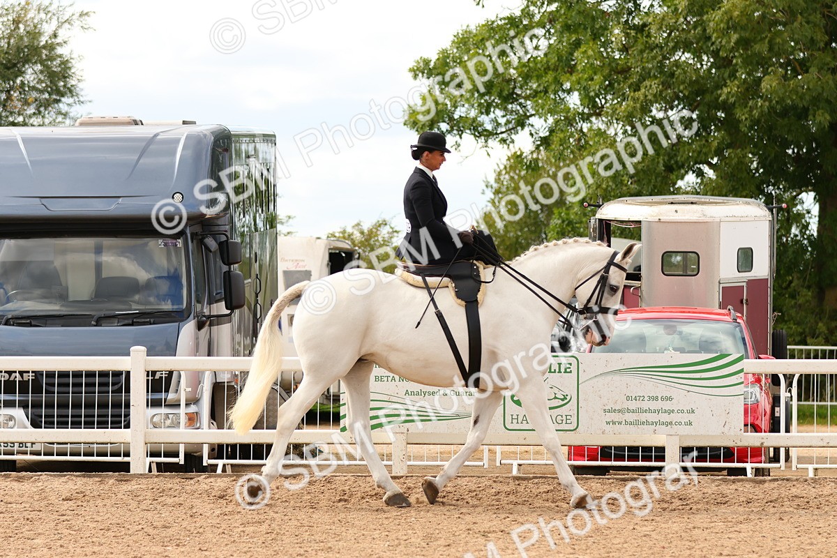 SBM_15878 - Class 216 - Best Side Saddle Horse-Pony