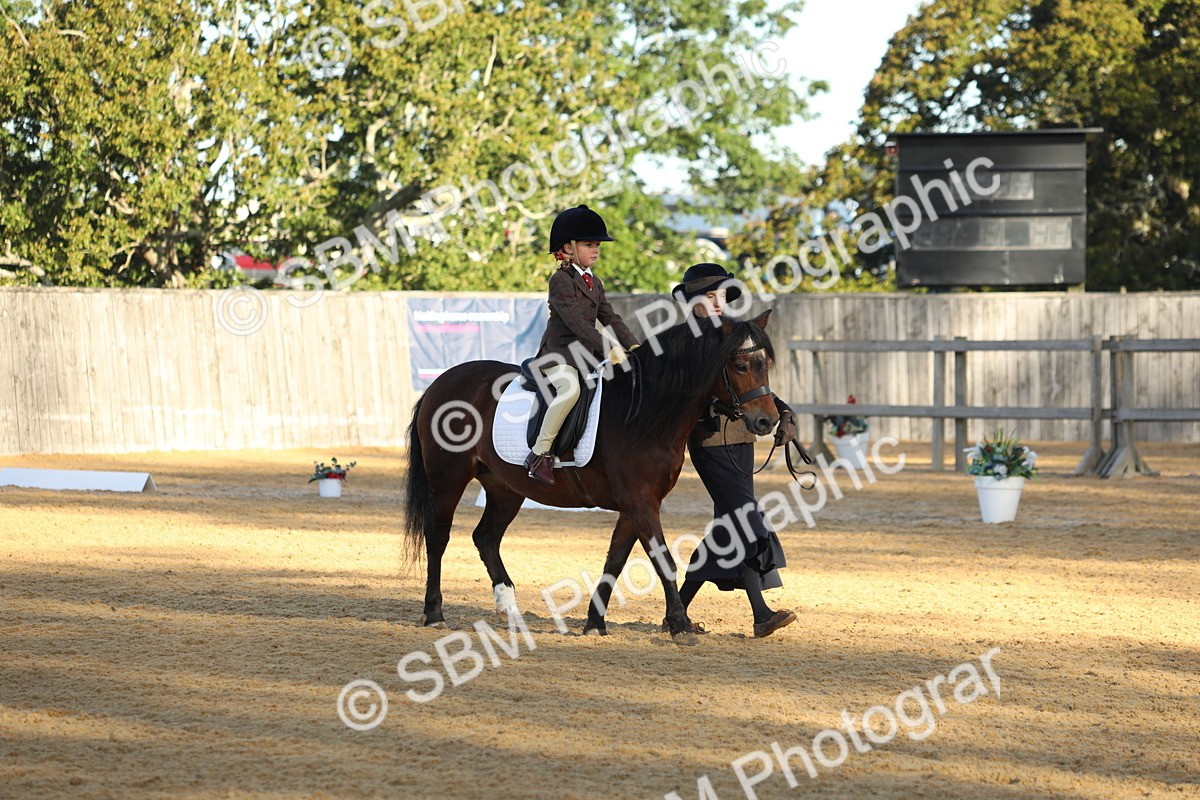 SBM_33681 - D26 - Starers - Lead Rein
