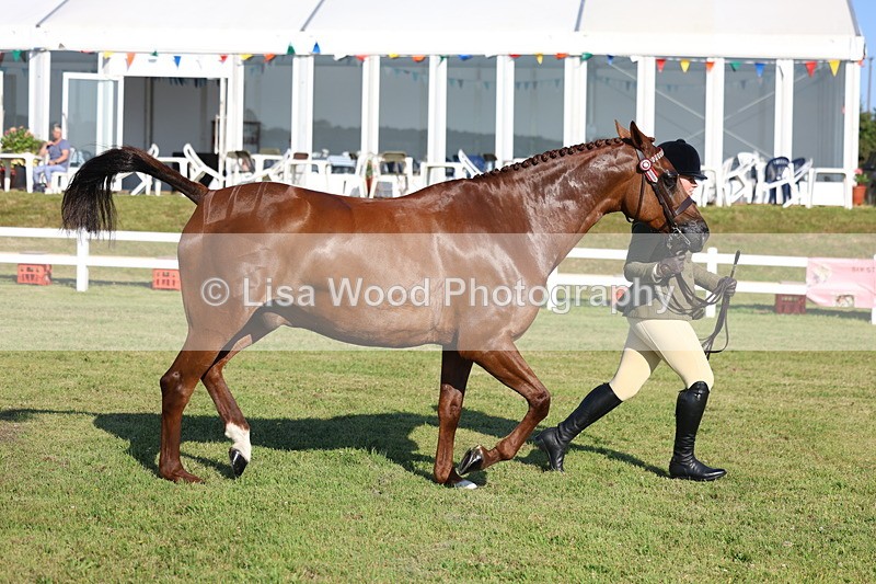 3E7A5145 - Class 1: Rising Star Small Hack/Riding Horses