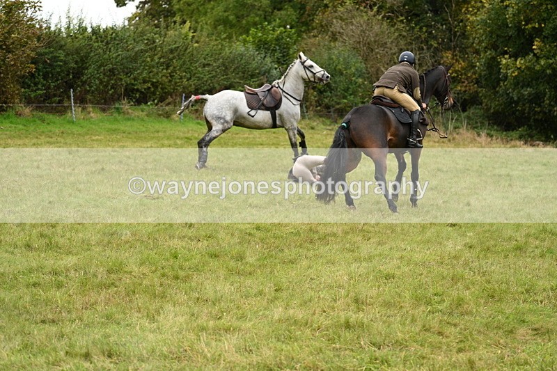 WJ7_4147 - Camera 1 Line 2