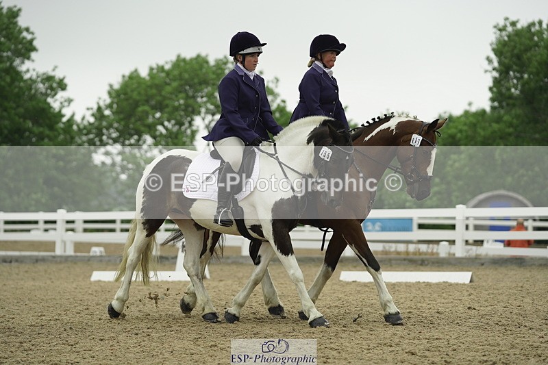 230708A-122600-00396 - BRC Pairs 5