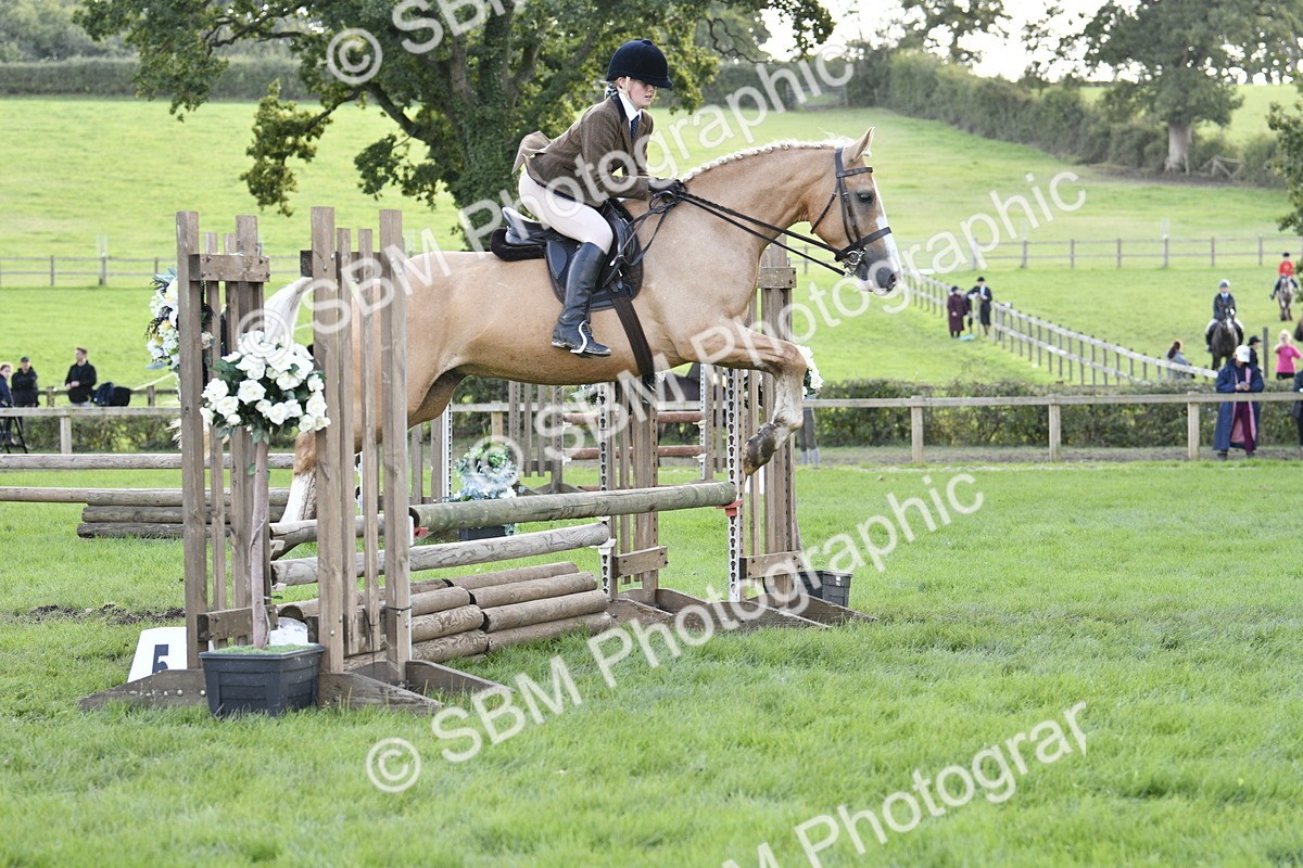 SBM_49954 - S34 - Novice & Newcomers Working Hunter