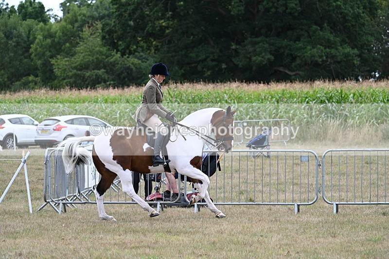 WJ7_5225 - Class 12 Ridden Cob