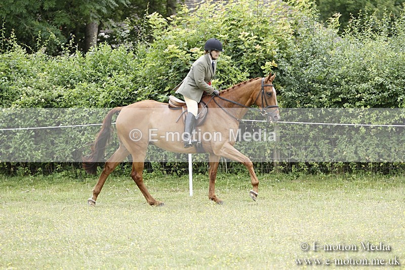 BVR160717-2327 - Working Hunter Championship 16/07/17