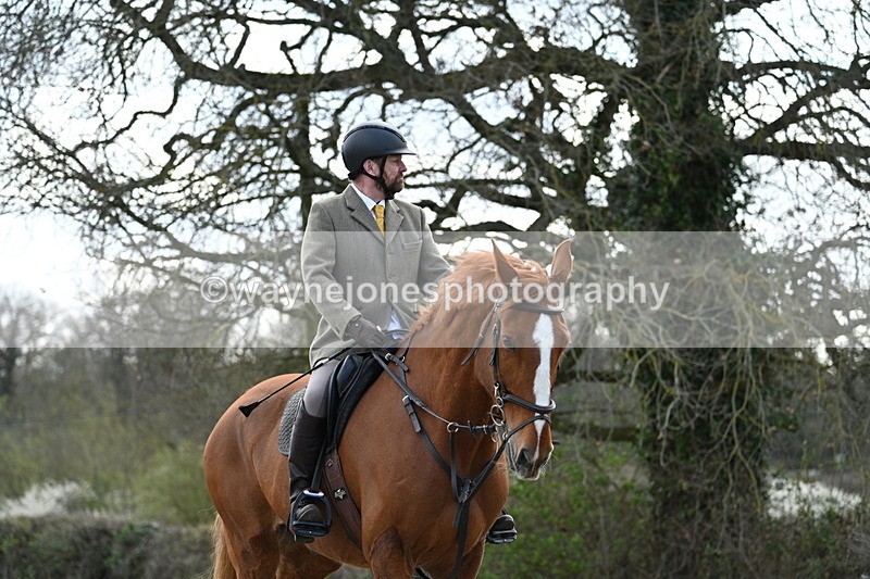 WJ7_9900 - Walk Home