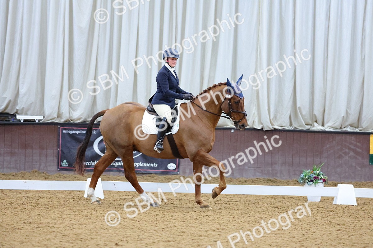 SBM_001069 - Novice