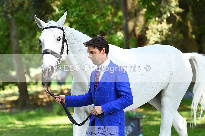 230524-163118-00923 - 163-UVERA_Z-Harry_Meade-WEDTrotUp+DR