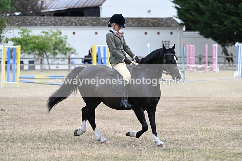 WJ7_0493 - Class 6 Ridden Mountain and Moorland
