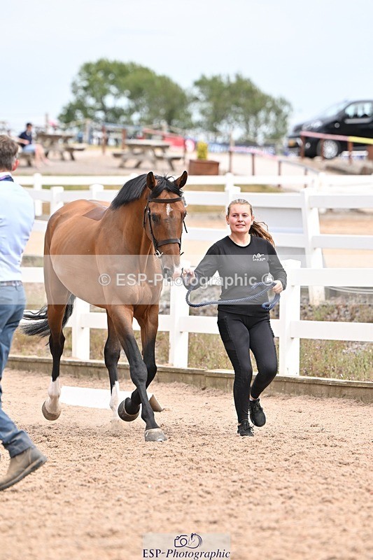 250716-154309-02154 - Trot Up 3.30 to 4.30