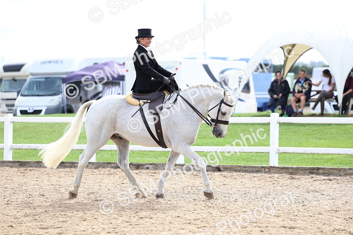 SBM_03455 - Class 24 - SSA Concours d'elegance (any age)