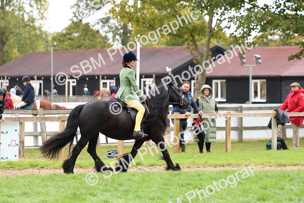 SBM_69655 - S62 - Mountain & Moorland Ridden Large Breeds