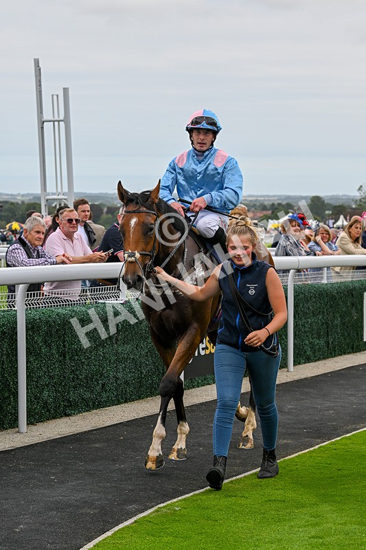 140824-Race 1-Lord Roxby-5833 - Race 1