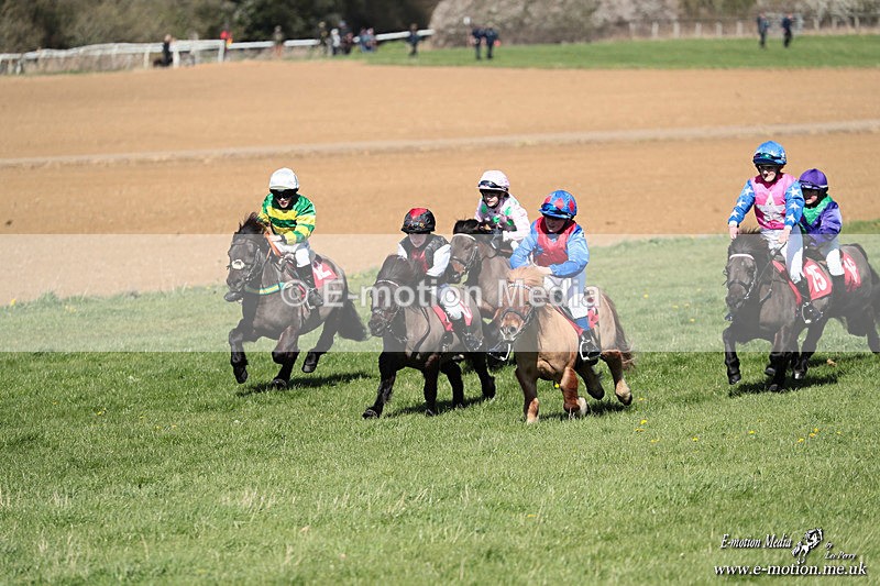 Shet 060426 258 - Shetland Pony Racing Paxford Races Easter Mon 06/04/26