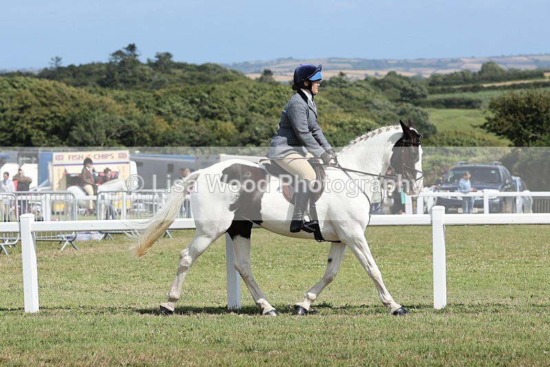 JPP_2266 - Class 19: Working Hunter 60cm