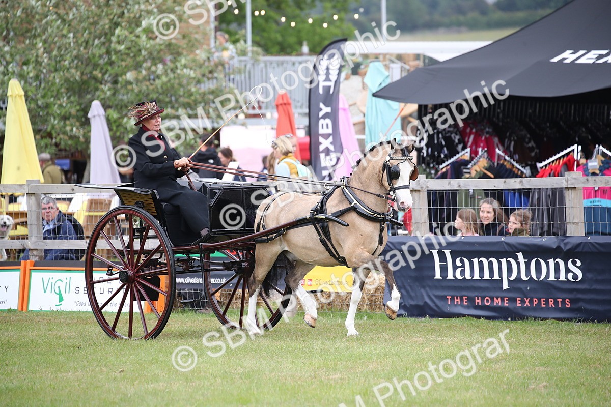 SBM_05817 - Class 12-15 - HOYS Private Driving