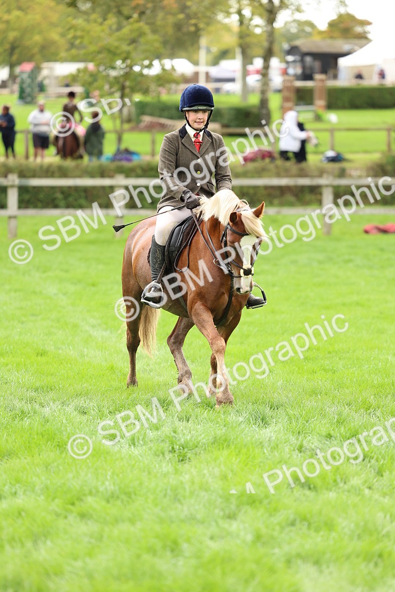 SBM_41848 - S32 - Mountain & Moorland Working Hunter Pony