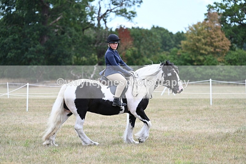 WJ7_4696 - Class 12 Ridden Cob