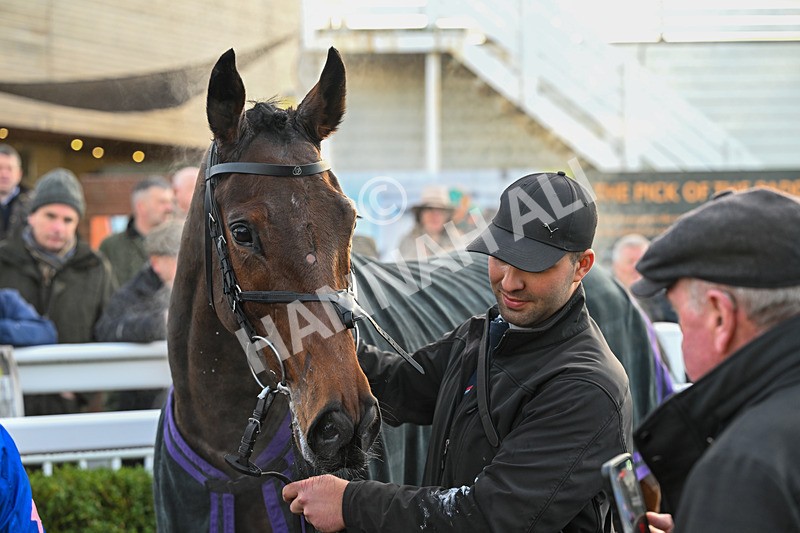 161225-Race 4-Noonetellsmenothin-8657 - Race 4