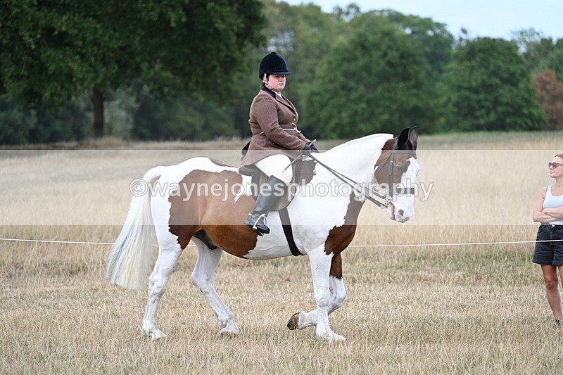 WJ7_5403 - Class 12 Ridden Cob