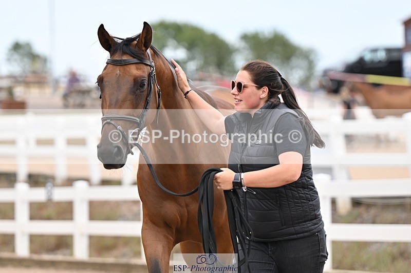 250716-160227-02354 - Trot Up 3.30 to 4.30