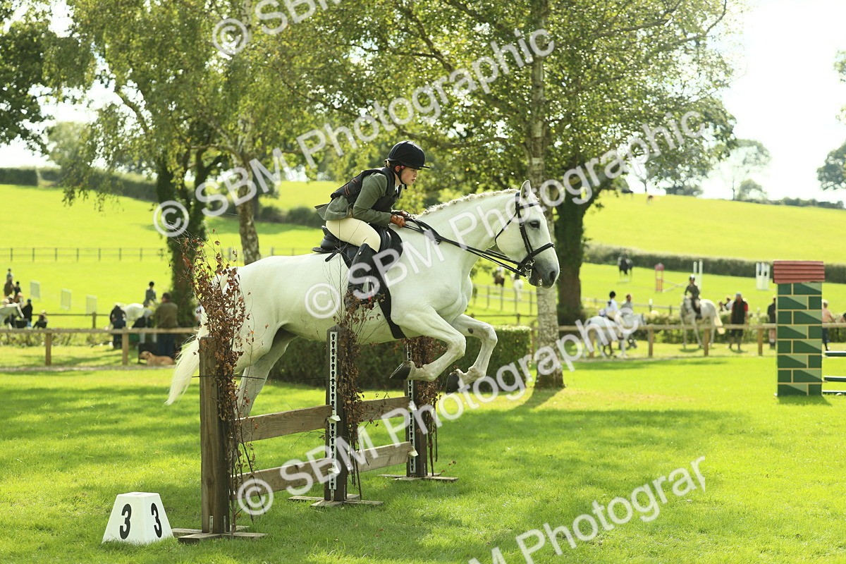 SBM_48035 - S32 - Novice & Newcomers Working Hunter