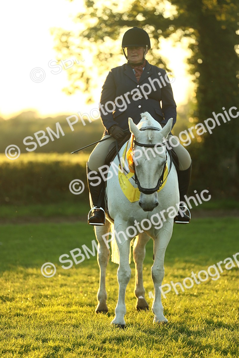 SBM_56637 - Fun & Versatile Supreme Championship