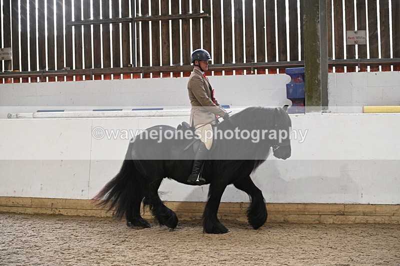 WJ7_4489 - Afternoon Champs