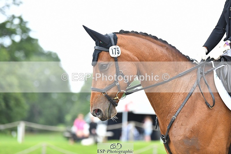 230812-110147-03521 - Cls 6 Novice Silver 10.30 to 11.55 break