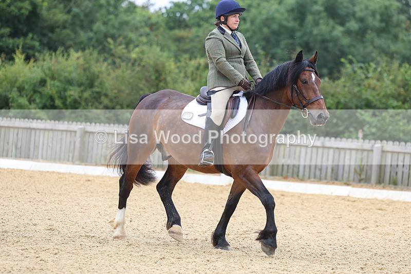 3E7A4570 - Class 1: Intro 4 2024 section A