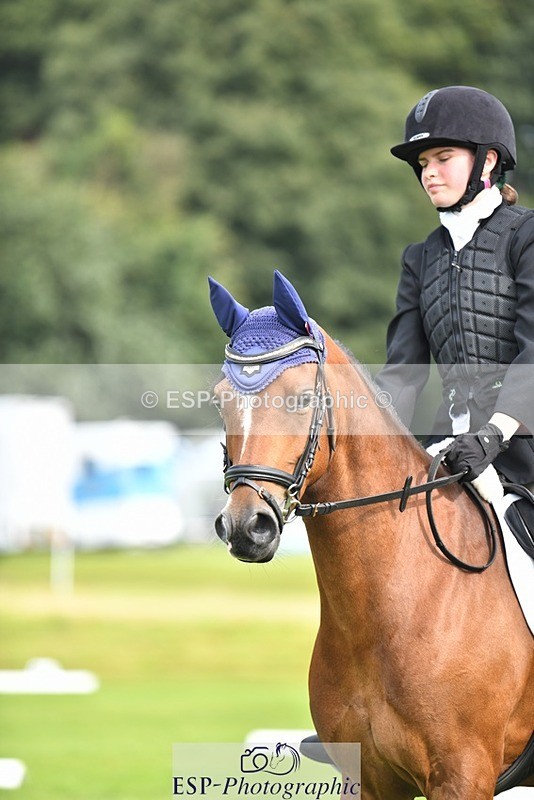 230826-103202-15499 - Sections C & D 10 to End