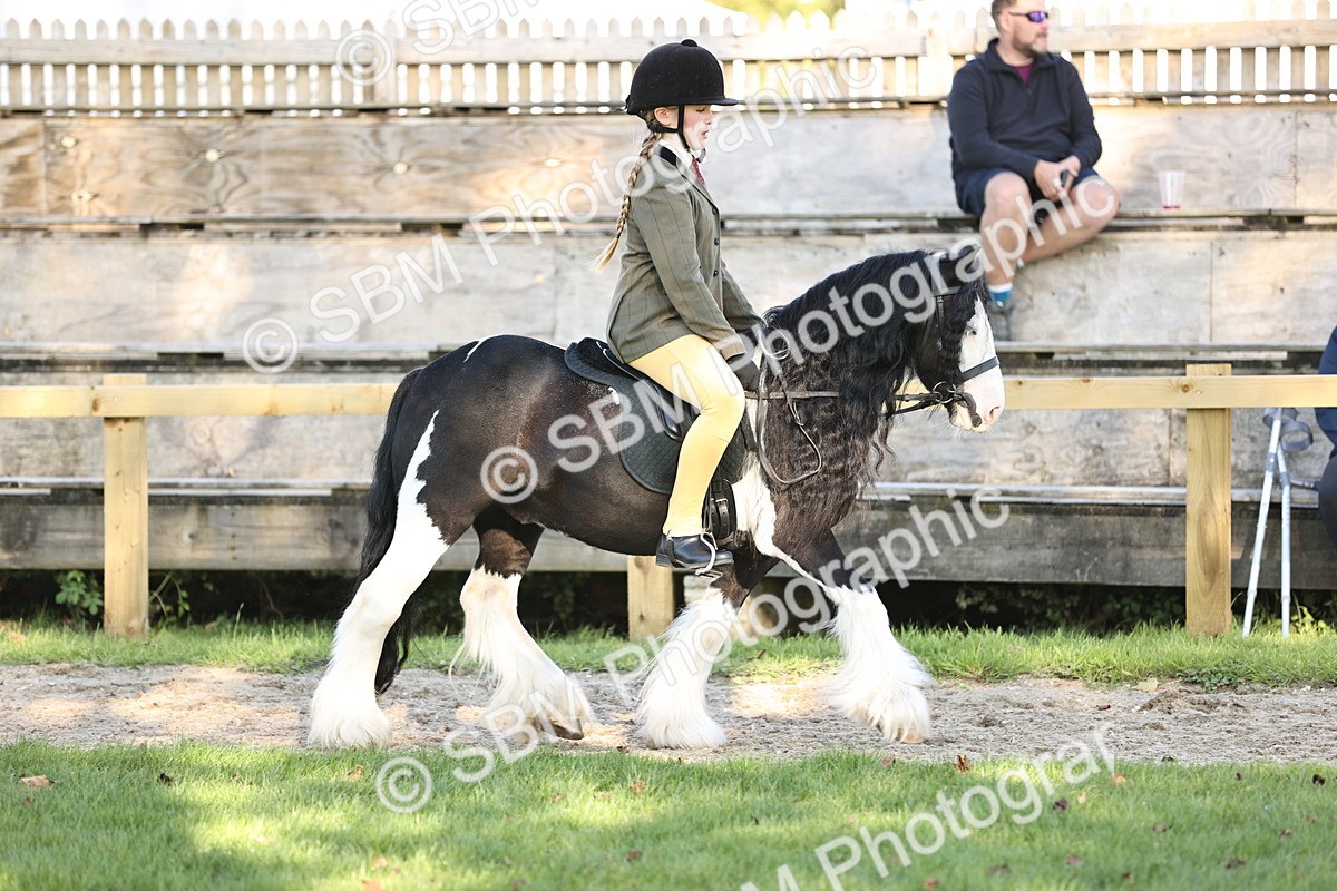 SBM_29427 - S7 - Novice & Newcomers Ridden Pony