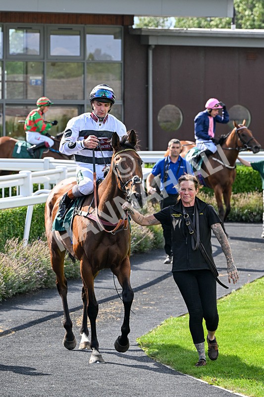 260826-Race 2-Lady Gormire-2448 - Race 2 14:45 Berber Leather Maiden Stakes