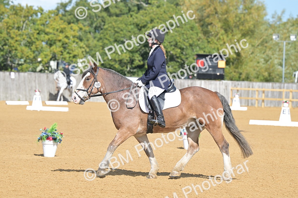 SBM_03907 - D2 - Small Tour Championship Intro 2