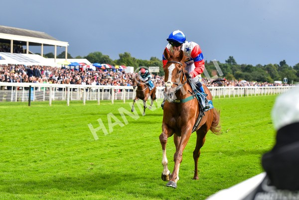 150723-Race 6-Robert Johnson-8824 - Race 6 4.55pm John Smith's Stayers' Handicap