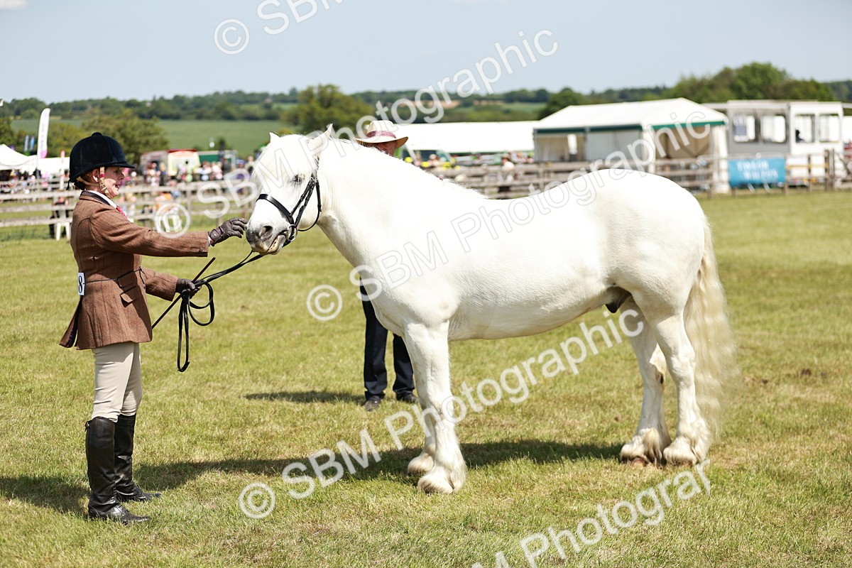 SBM_07142 - Class 26-30 - Mountain and Moorland Ridden
