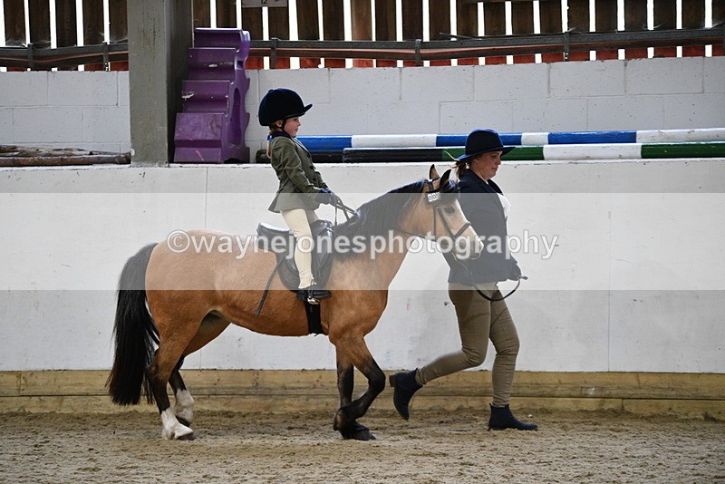 WJ5_6553 - Class 10 Childs Pony