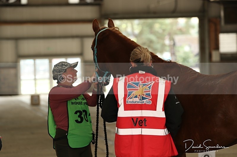 SPXX3547 - Vetting