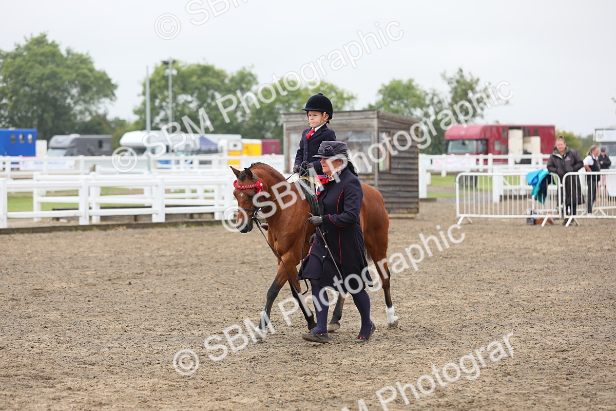 SBM_21763 - Class 806 - Young ridder 10 Yr & Under