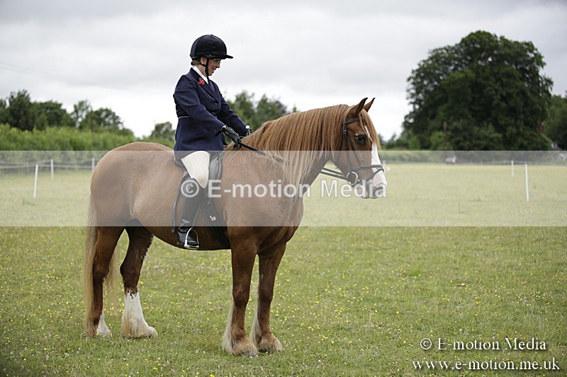 BVR160717-1539 - Ring 1 BVRC Show 16/07/17