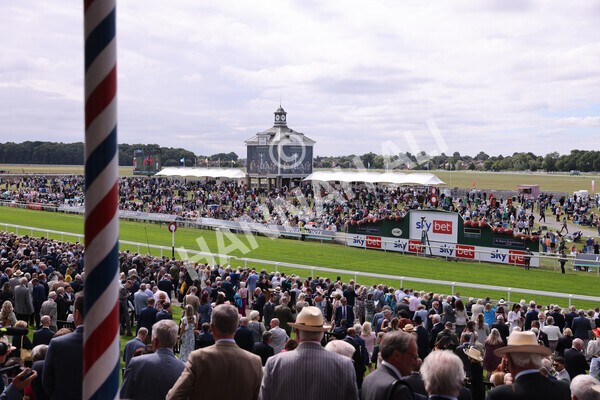 yr17082022r1-036 - Race 1 1.50pm Sky Bet & Symphony Group Stakes